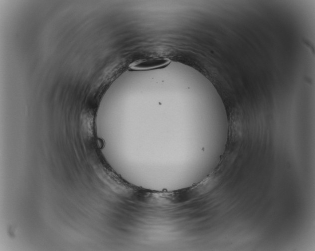 X0000103410188200809261652