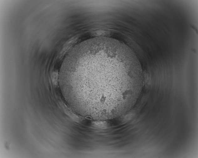 X0000103410189200809261652