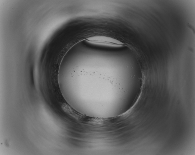 X0000103410190200809261652