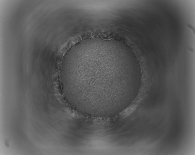 X0000103410192200809261652