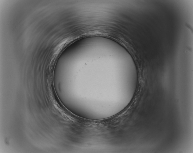 X0000103410193200809261651