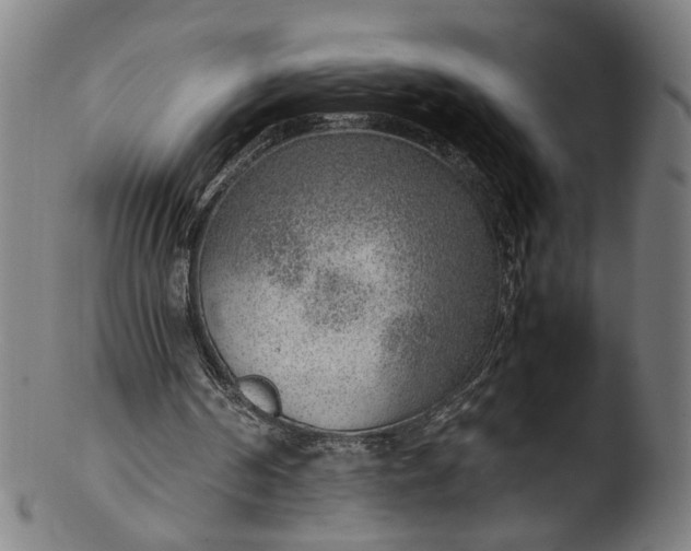 X0000103410194200809261651