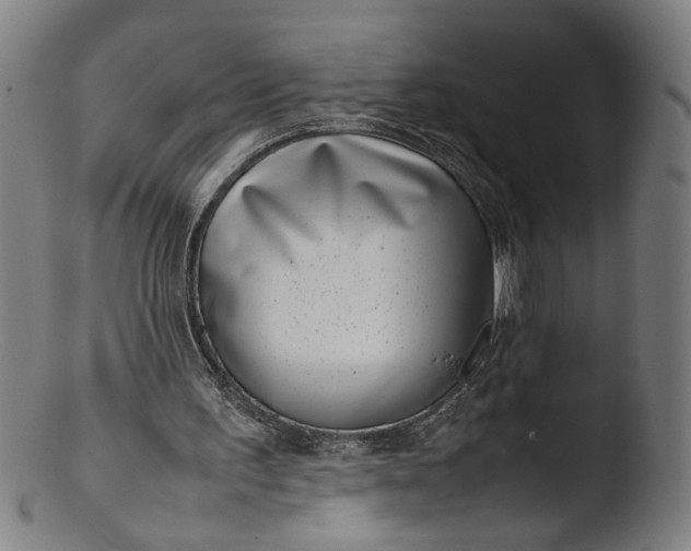 X0000103410195200809261651