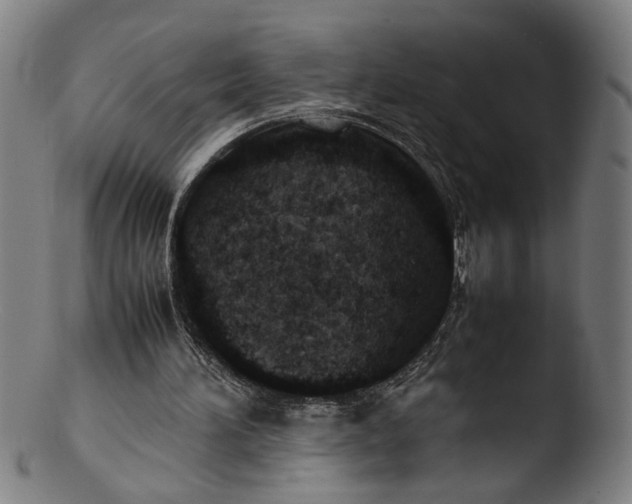 X0000103410196200809261651