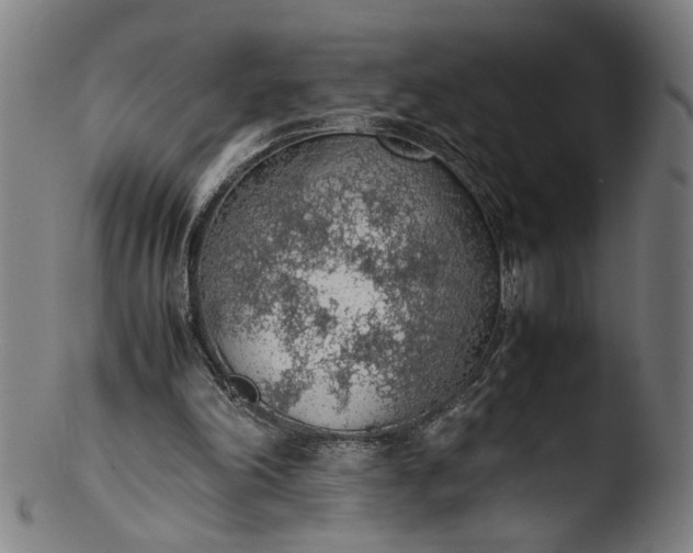 X0000103410198200809261651