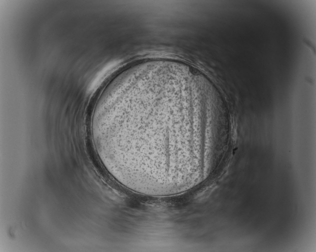 X0000103410199200809261651