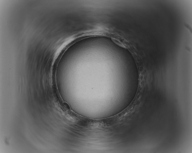 X0000103410200200809261651