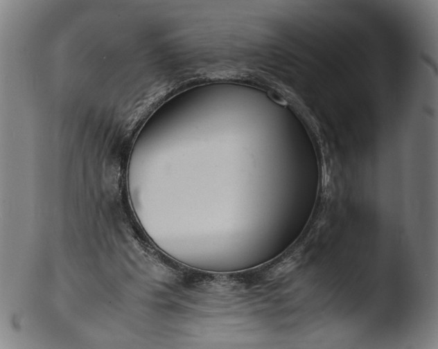 X0000103410201200809261651