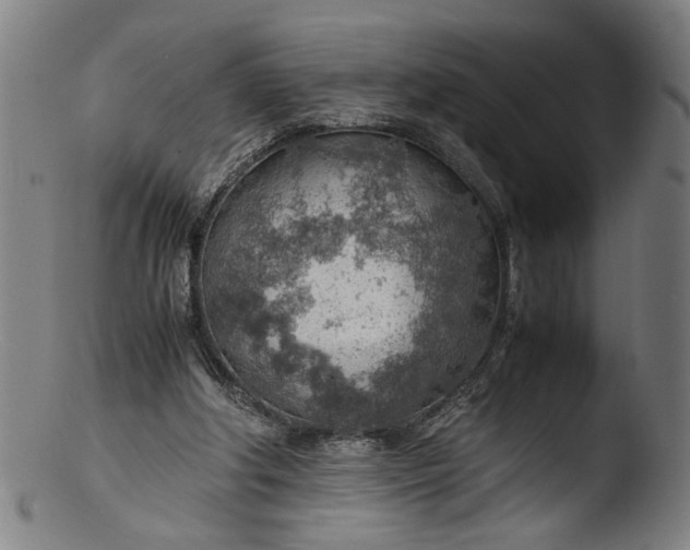 X0000103410202200809261651