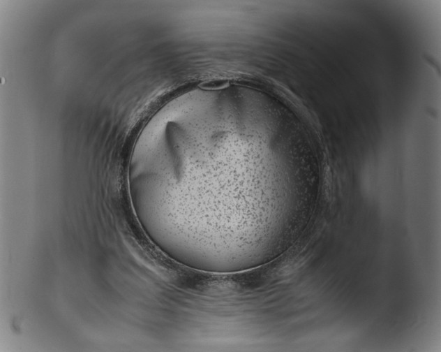 X0000103410203200809261651