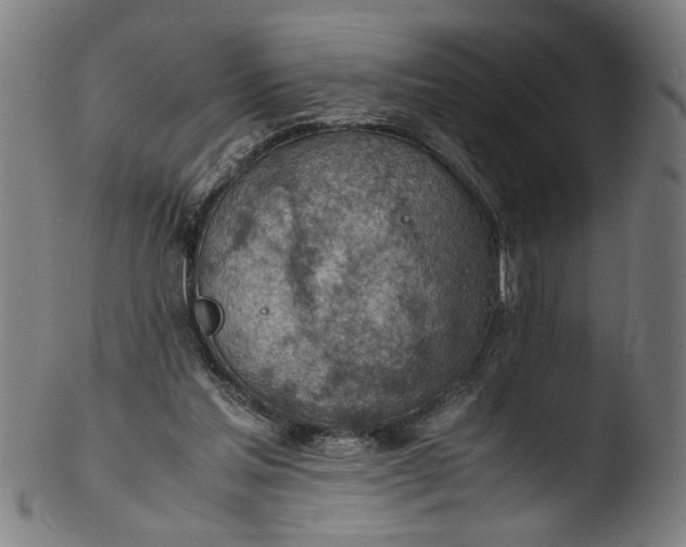 X0000103410205200809261651