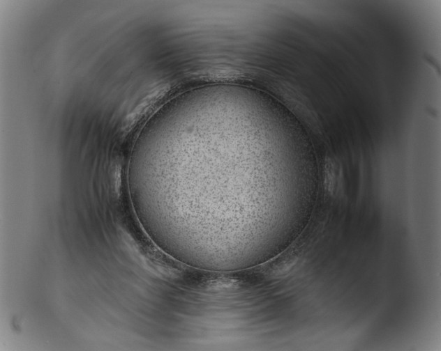 X0000103410206200809261651