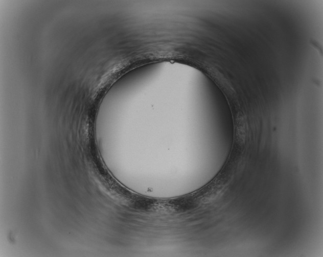 X0000103410207200809261651