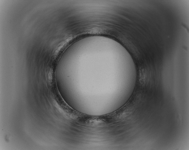 X0000103410208200809261651