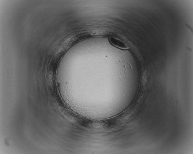 X0000103410209200809261651