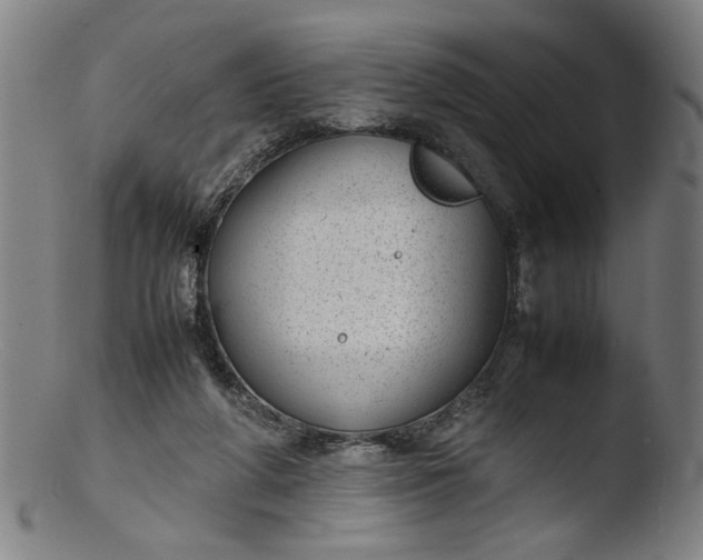 X0000103410210200809261651