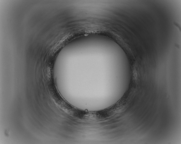 X0000103410211200809261651