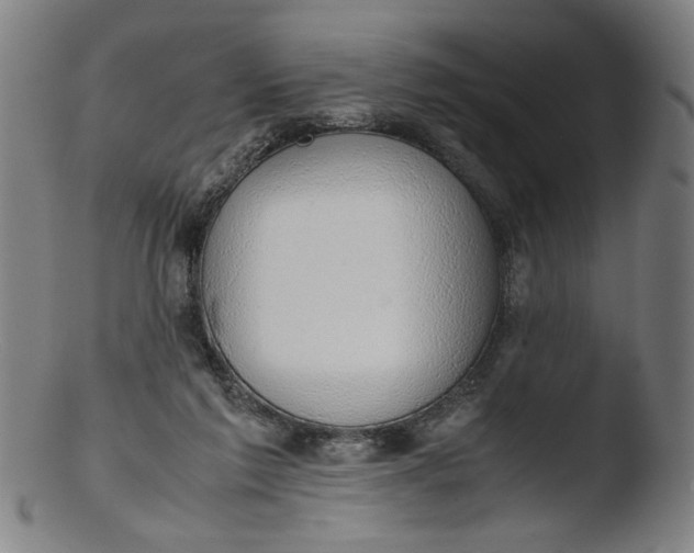 X0000103410213200809261651