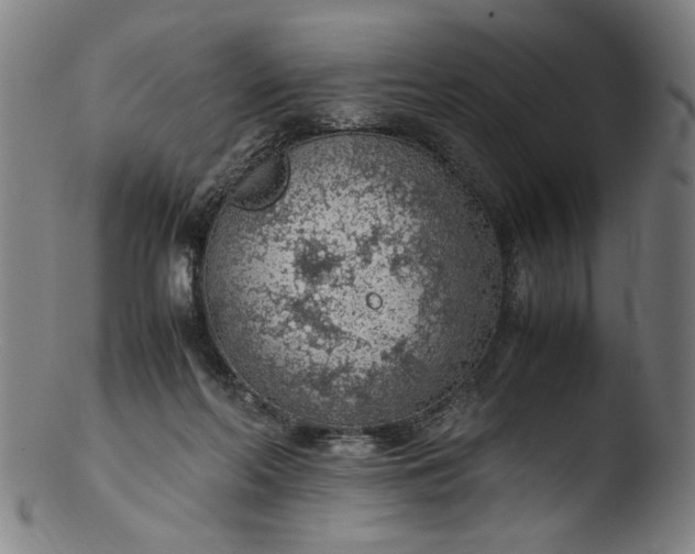 X0000103410214200809261651