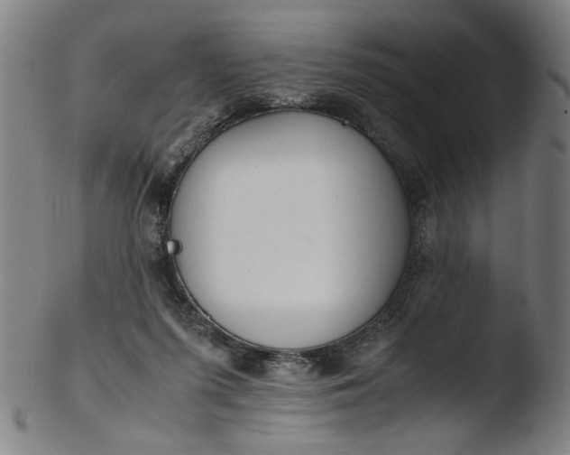 X0000103410215200809261651