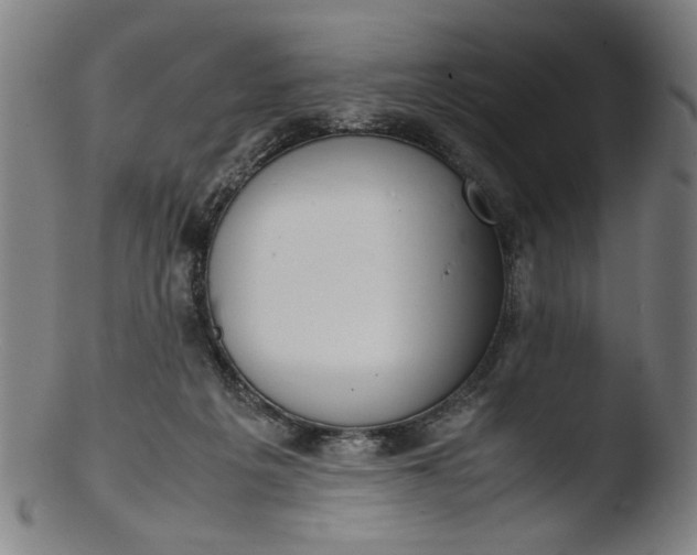 X0000103410217200809261651