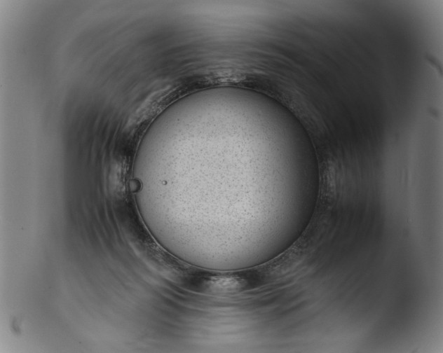 X0000103410218200809261651