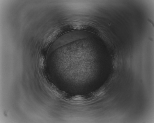 X0000103410219200809261651