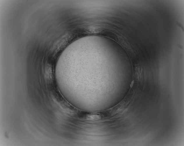 X0000103410220200809261651