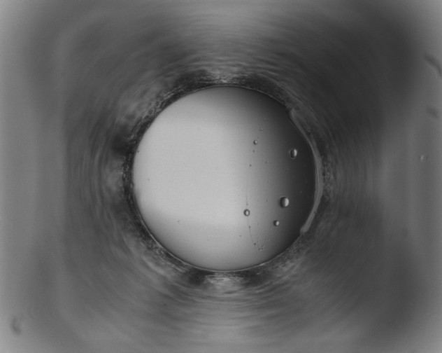 X0000103410221200809261651