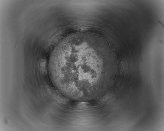 X0000103410222200809261651