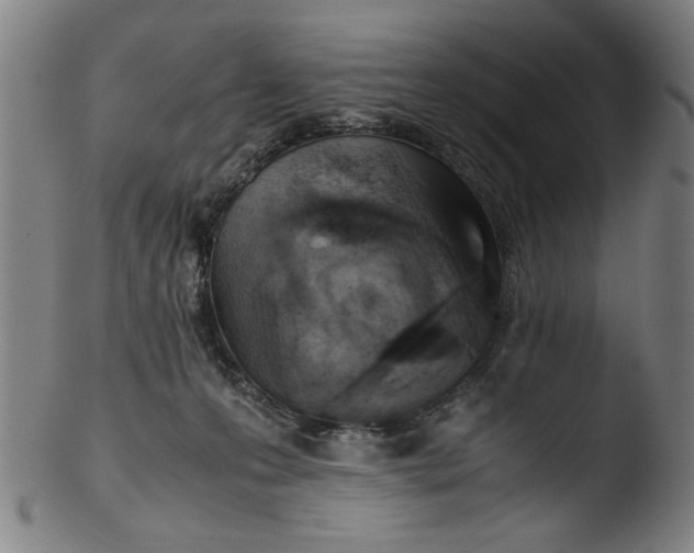 X0000103410223200809261651