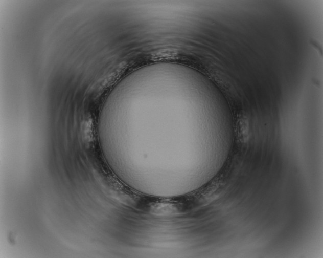 X0000103410224200809261651