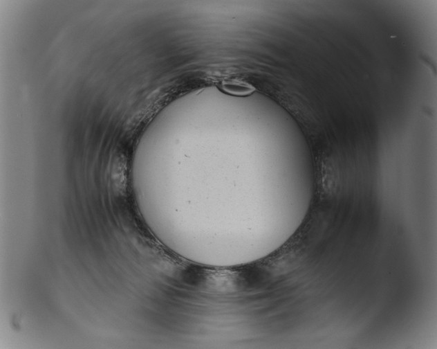 X0000103410226200809261651