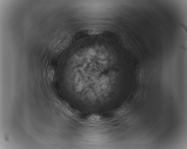 X0000103410227200809261651