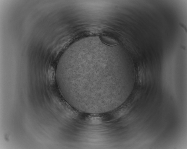 X0000103410228200809261651