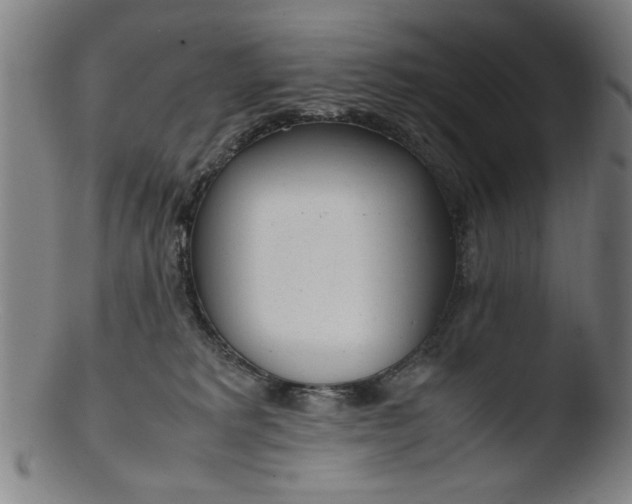 X0000103410229200809261651