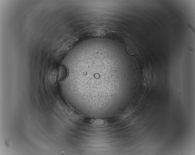 X0000103410230200809261651