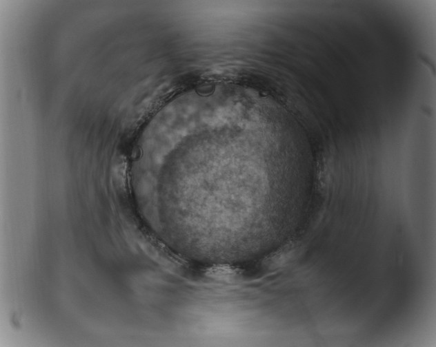 X0000103410231200809261651