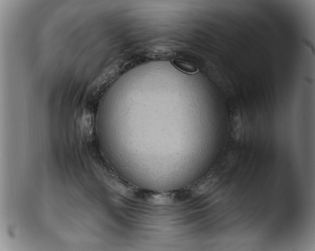 X0000103410232200809261651