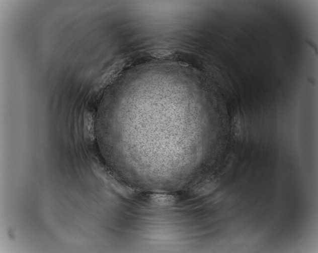 X0000103410234200809261651