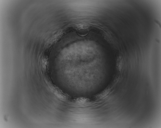 X0000103410235200809261651