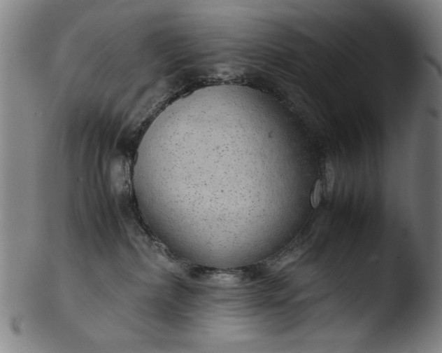 X0000103410236200809261651