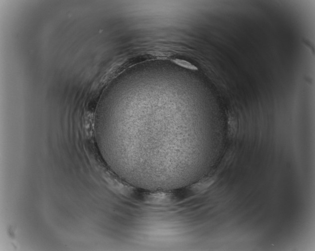 X0000103410237200809261651