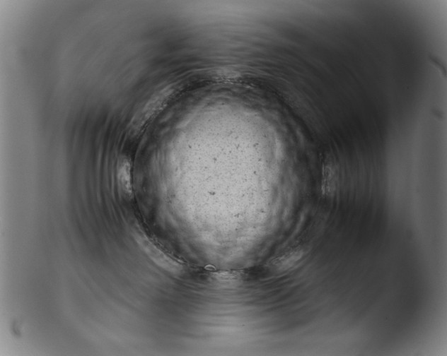 X0000103410238200809261651