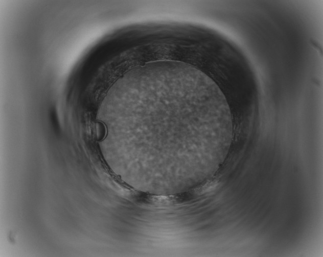 X0000103410239200809261651