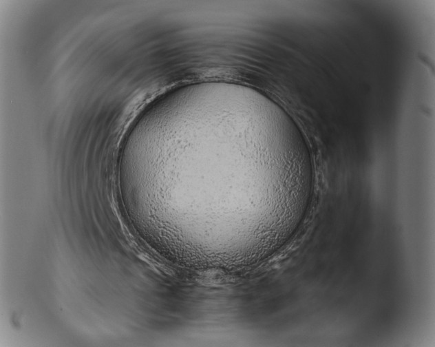 X0000103410241200809261650