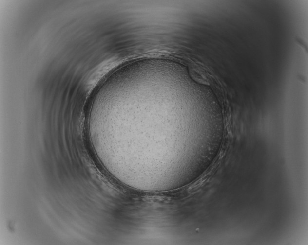 X0000103410242200809261650