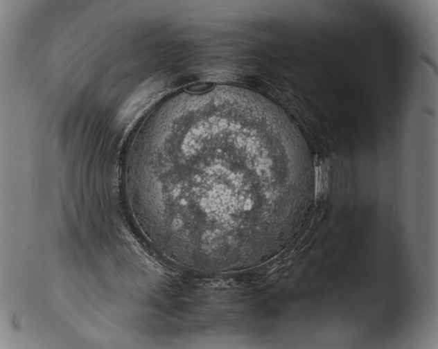 X0000103410243200809261650