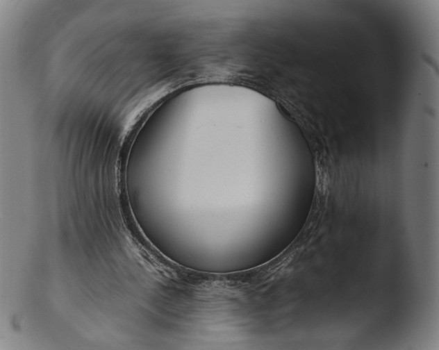 X0000103410244200809261650