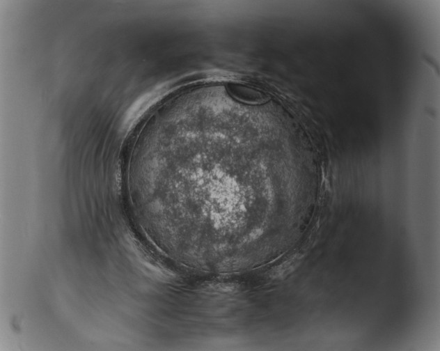 X0000103410247200809261650